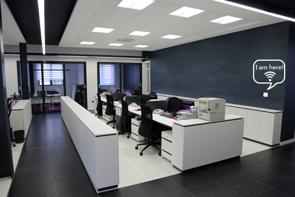 Office & Studio